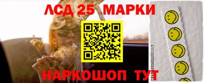 молекула духа Будённовск