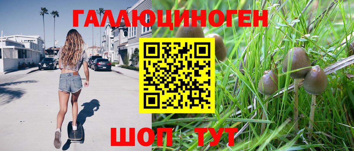 Псилоцибиновые грибы Magic Shrooms Нижний Тагил